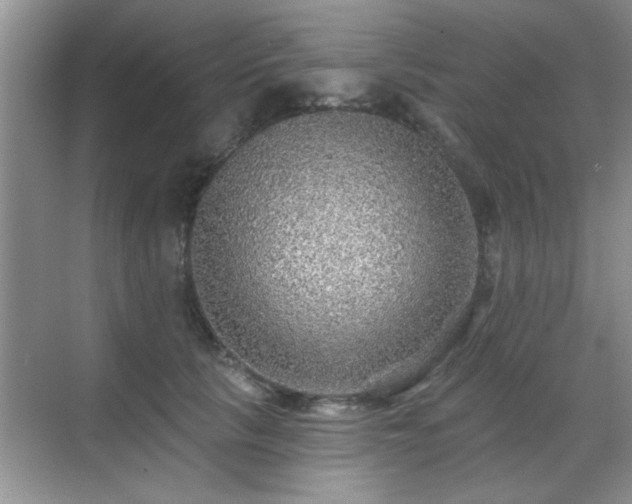 X0000070400657200606121305