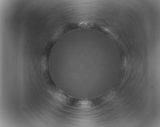 X0000070400659200606121305