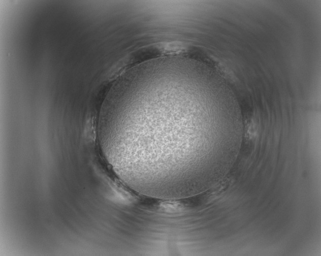 X0000070400666200606121305