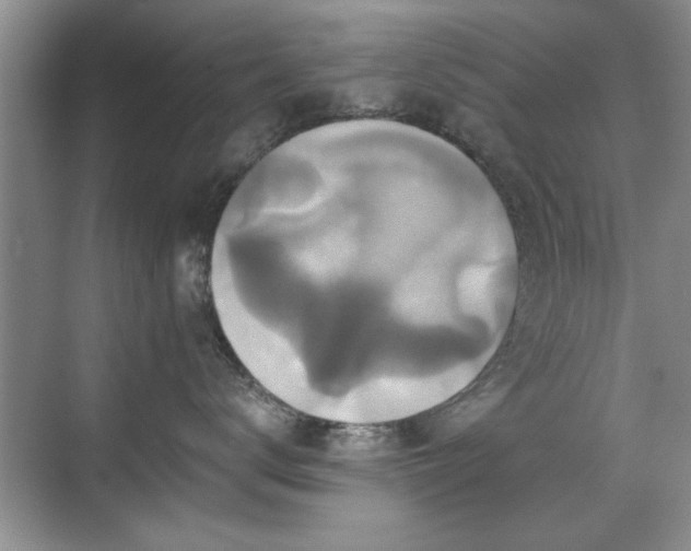 X0000070400672200606121305
