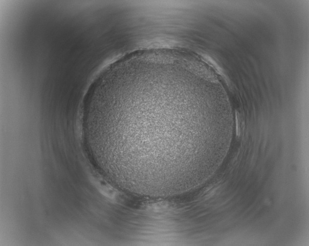 X0000070400675200606121304