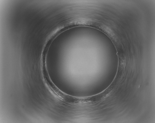 X0000070400678200606121304