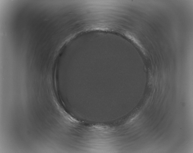 X0000070400681200606121304