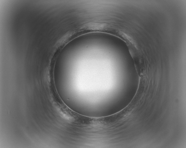 X0000070400682200606121304