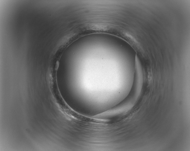X0000070400688200606121304