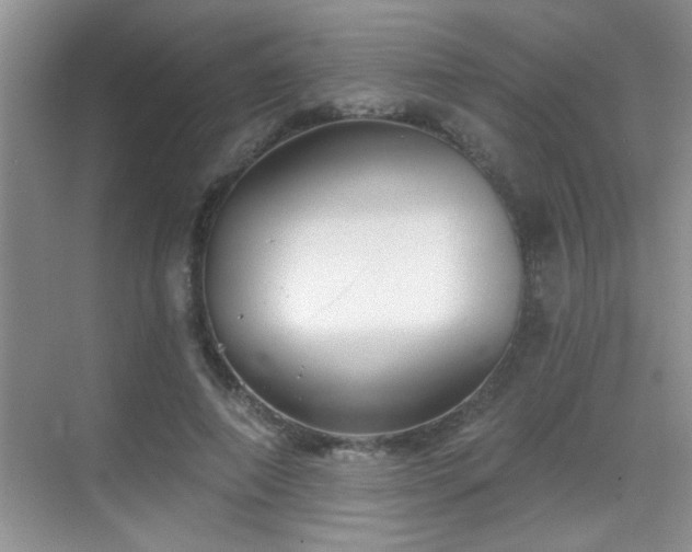X0000070400690200606121304