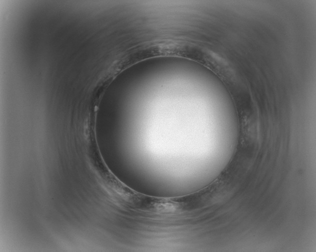 X0000070400698200606121304