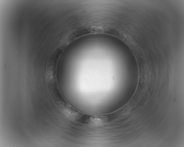 X0000070400706200606121304