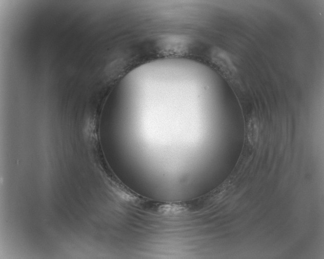 X0000070400714200606121304