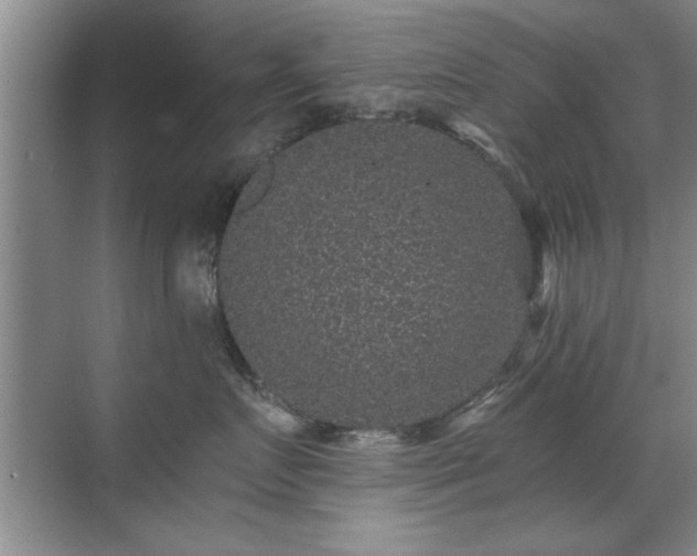 X0000070400719200606121304