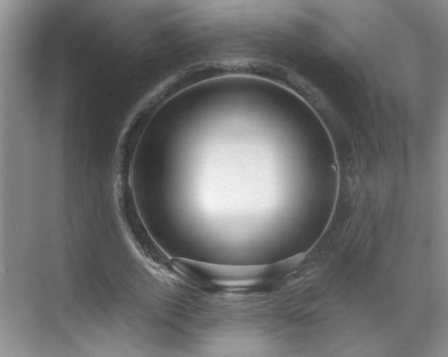 X0000070400728200606121303
