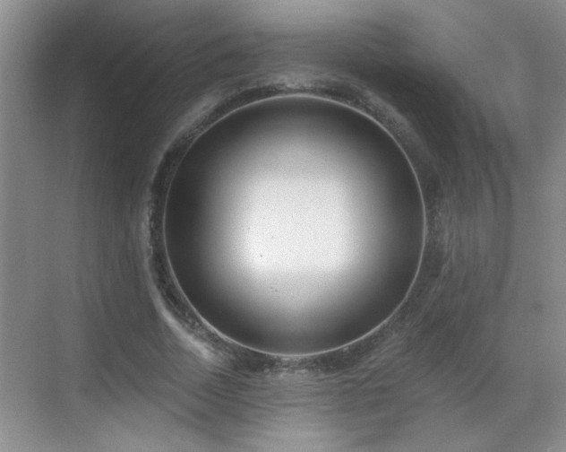 X0000070400730200606121303
