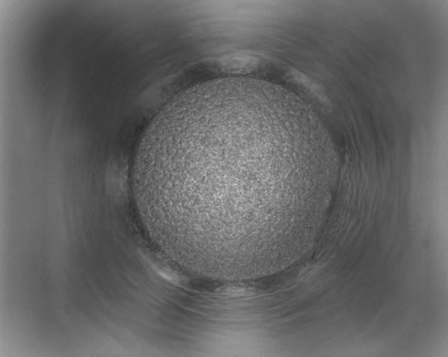 X0000070400745200606121303