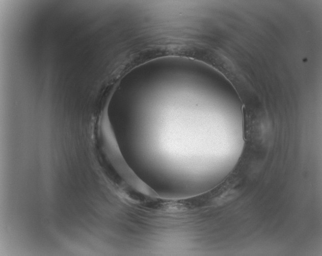 X0000070400750200606121303