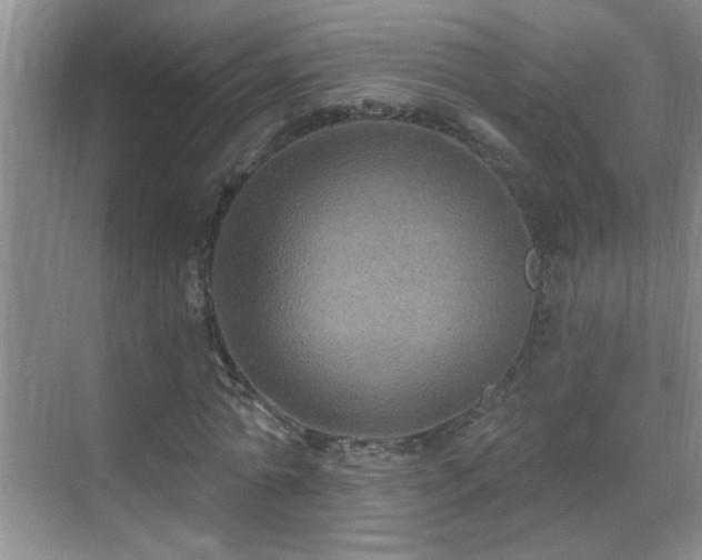 X0000070400774200606121303