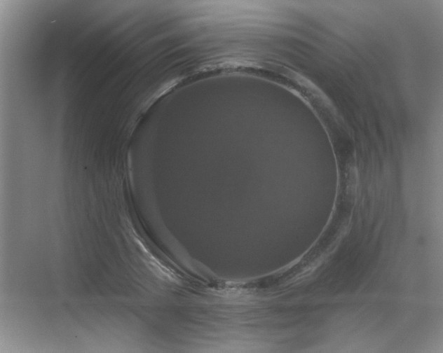 X0000070400785200606121303