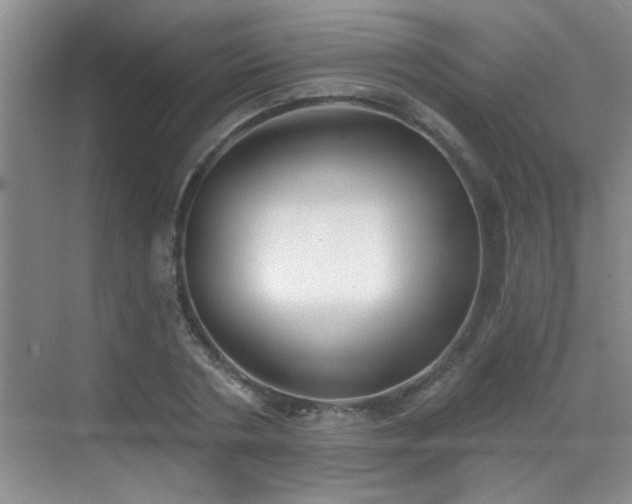 X0000070400786200606121302