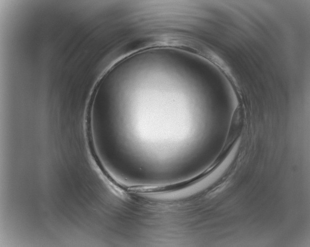 X0000070400803200606121302