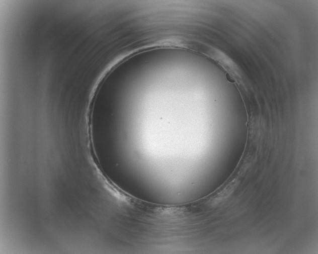 X0000070400808200606121302