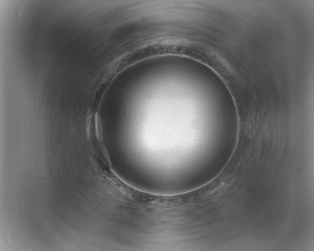 X0000070400821200606121301