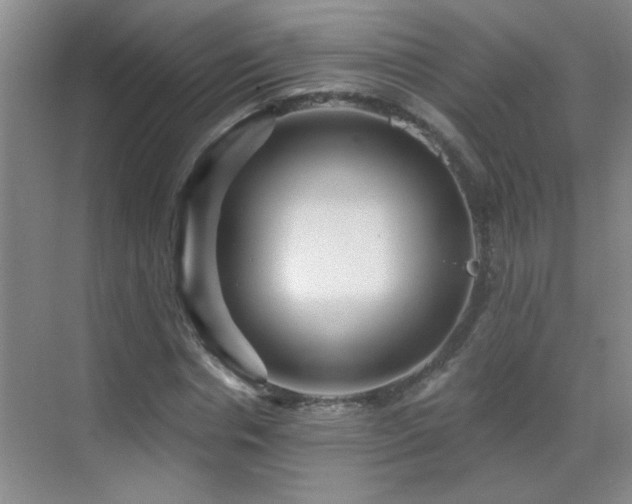 X0000070400826200606121301