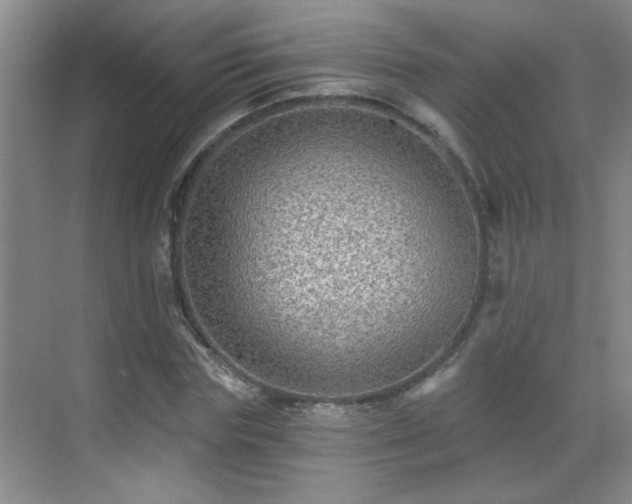 X0000070400827200606121301
