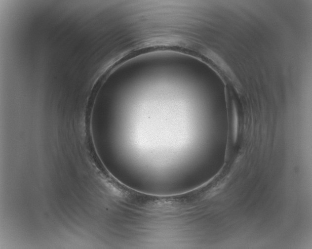 X0000070400834200606121301