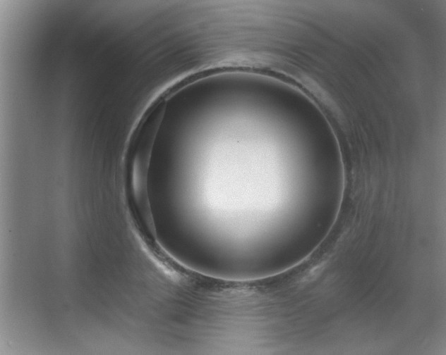 X0000070400838200606121302