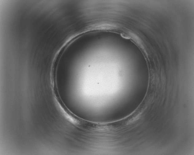 X0000070400843200606121302