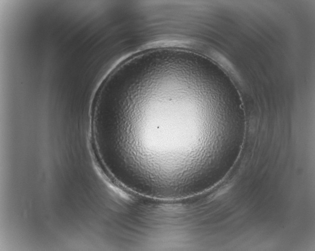 X0000070400844200606121302