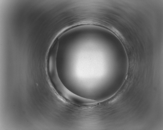 X0000070400854200606121302