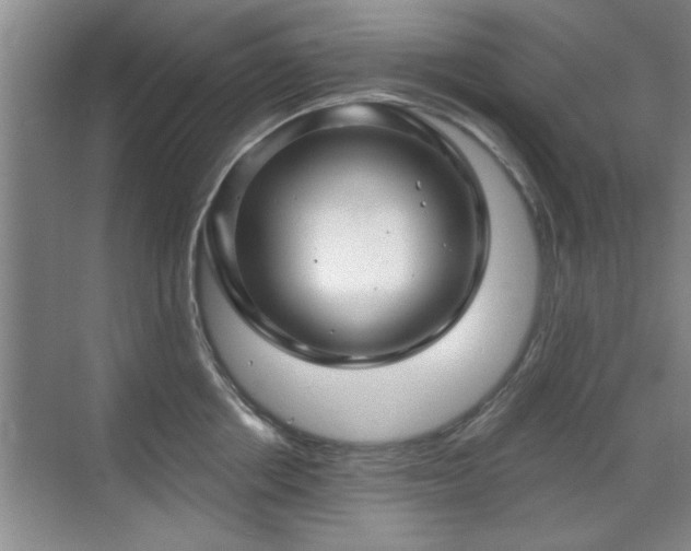 X0000070400858200606121302