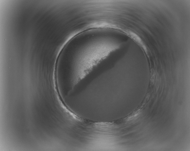 X0000070400863200606121302