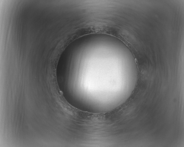 X0000070400865200606121301