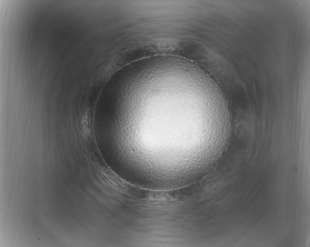 X0000070400866200606121301