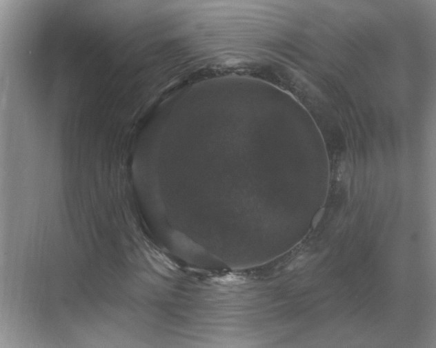 X0000070400868200606121301