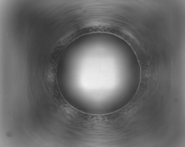 X0000070400869200606121301