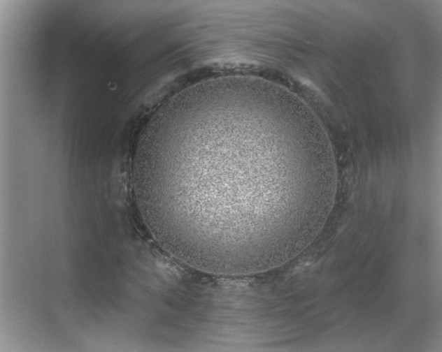 X0000070400870200606121301