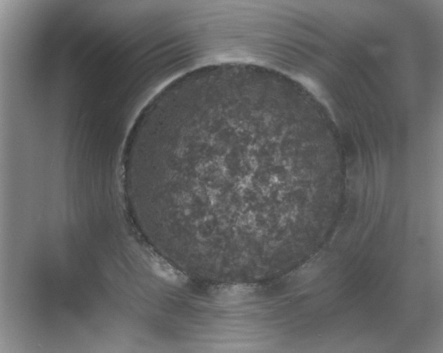 X0000070400879200606121301
