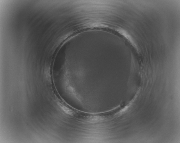 X0000070400881200606121301