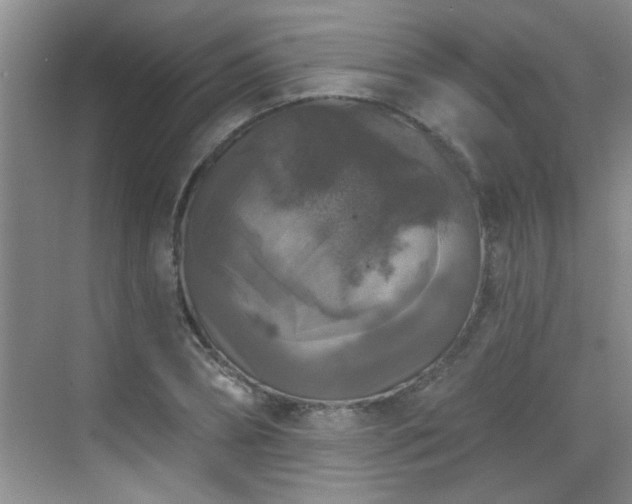 X0000070400882200606121301
