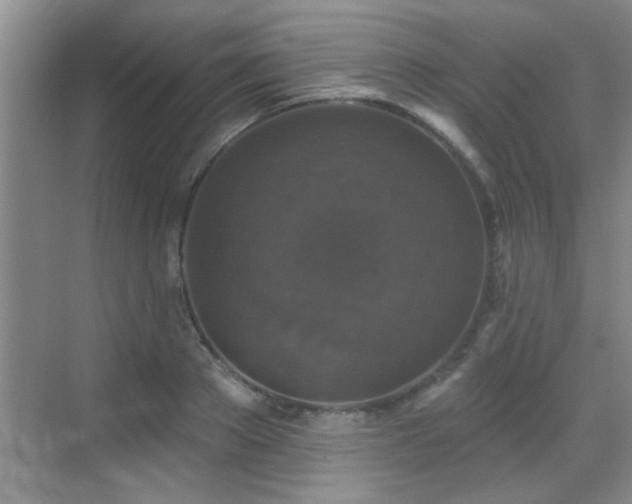 X0000070400889200606121301