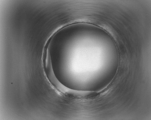 X0000070400902200606121301
