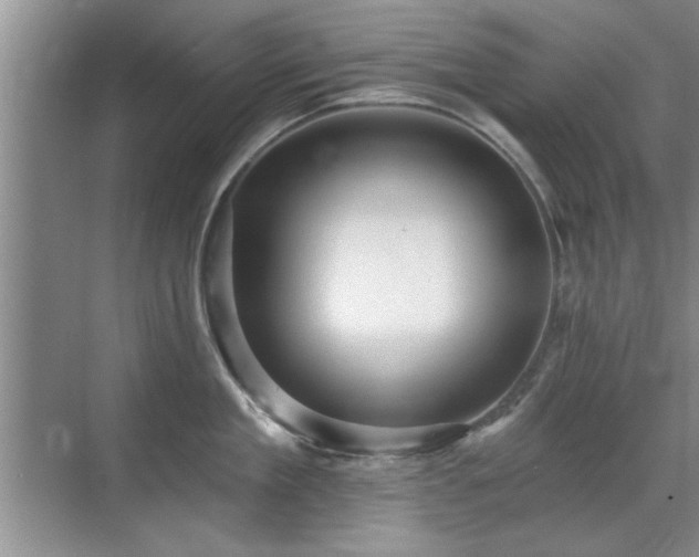 X0000070400909200606121300