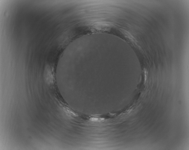 X0000070400915200606121300