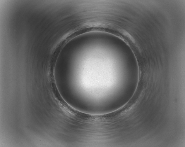 X0000070400922200606121300