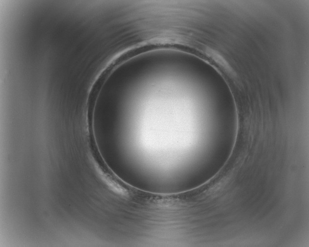 X0000070400934200606121300