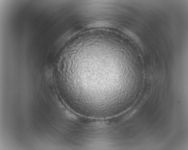 X0000070400937200606121300
