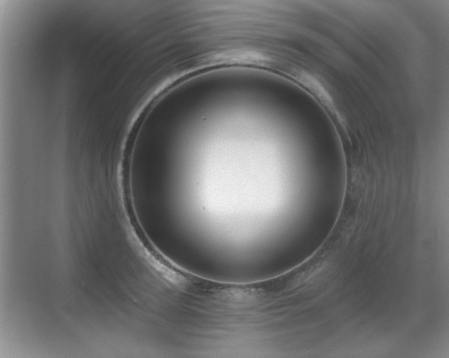 X0000070400947200606121300