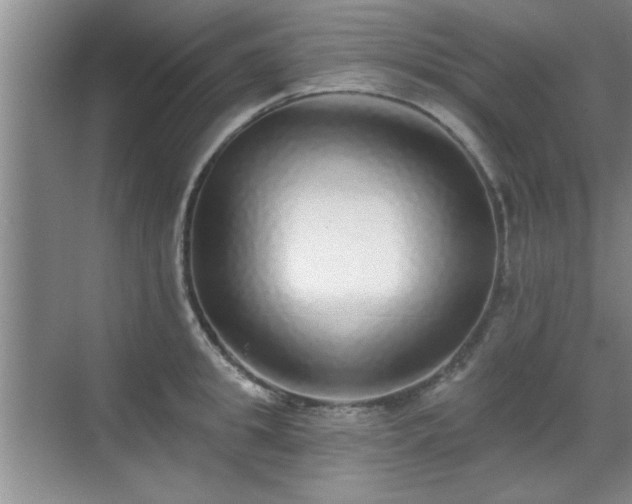 X0000070400949200606121300